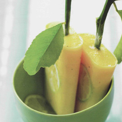 Recette du popsicle au yaourt et à la mangue